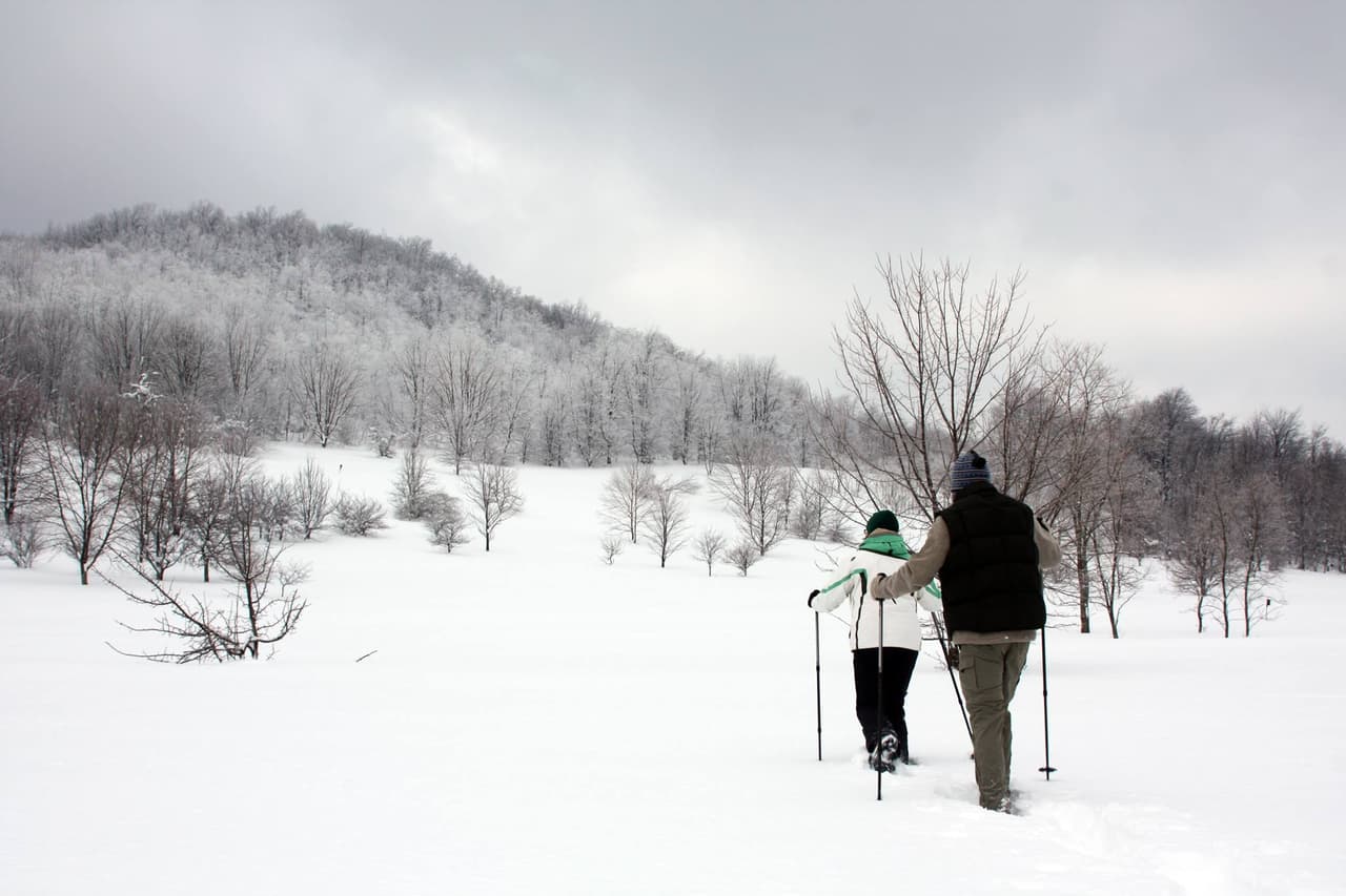 <b>Ohiopyle State Park</b>. Las cascadas del Parque Estatal de Ohiopyle, Cucumber Falls y Ohiopyle Falls, se convierten en obras de arte heladas durante los días más fríos del invierno. El parque en sí promete muchas actividades divertidas al aire libre. Las pistas de esquí de fondo suman más de 33 millas y los paseos en trineo y las motos de nieve también son actividades populares de invierno.
<br>
<br>
<a href="https://goo.gl/maps/yUJvJW9DPmxTpBb79"><b>Cómo llegar</b></a>