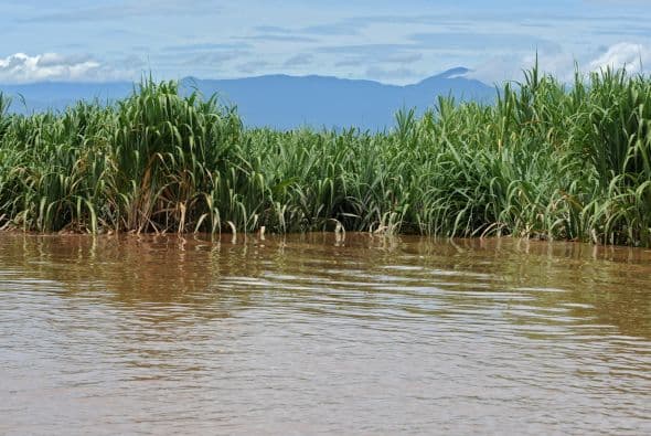 En Honduras, la Empresa Nacional de Energía Eléctrica (ENEE) analiza suspender la generación de la principal hidroeléctrica del país, cuya represa está rebosada por las lluvias, lo que implicaría imponer racionamiento.