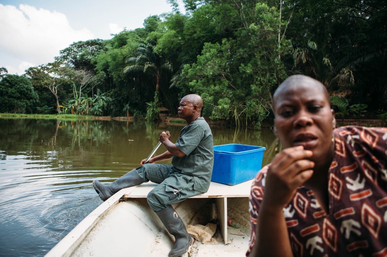 El personal experto en Lola Ya Bonobo se compone en la mayor parte de personas de la comunidad quienes, a través de la educación, llegan a amar a los bonobos y esperan lograr pasar su mensaje a la próxima generación de locales.