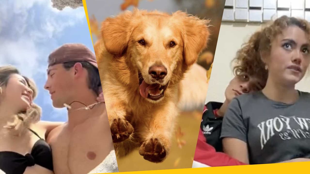 ¿Tu novio es un 'Golden Retriever'? Por esta razón todas quieren uno, esto significa