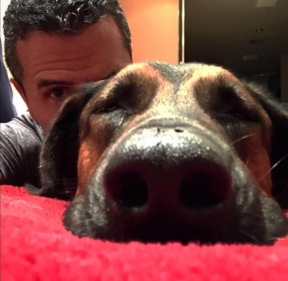 "Bernie es mi perro-hijo, Bernie es mi familia", añadió 
<b><a href="https://www.univision.com/local/austin-kakw/mi-mama-fue-mi-coach-mi-maestra-marco-antonio-regil-nos-abre-las-puertas-de-su-casa-en-austin" target="_blank">el presentador</a></b> en su publicación con una foto a lado del animal.