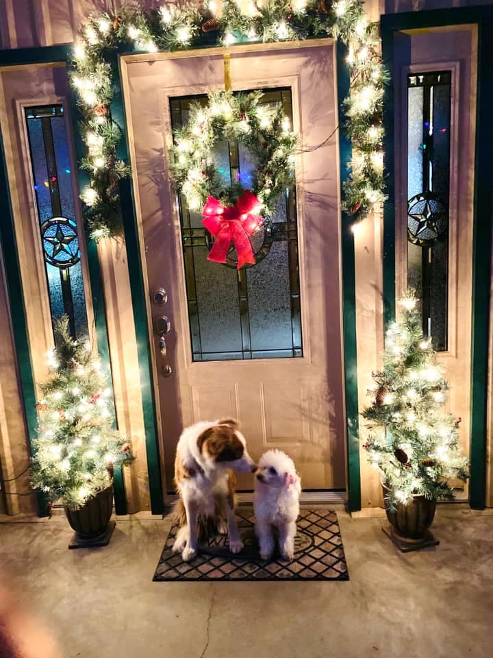 Arelly Martínez nos envió una tierna fotografía de sus mascotas en la puerta de su casa, que luce muy bien con una corona y guirnalda navideña.