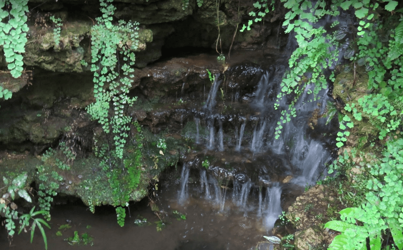 Los 10 acres de jardines al aire libre incluyen el City Garden, Demonstration Garden, Sensory Garden, Artist’s Garden y más.