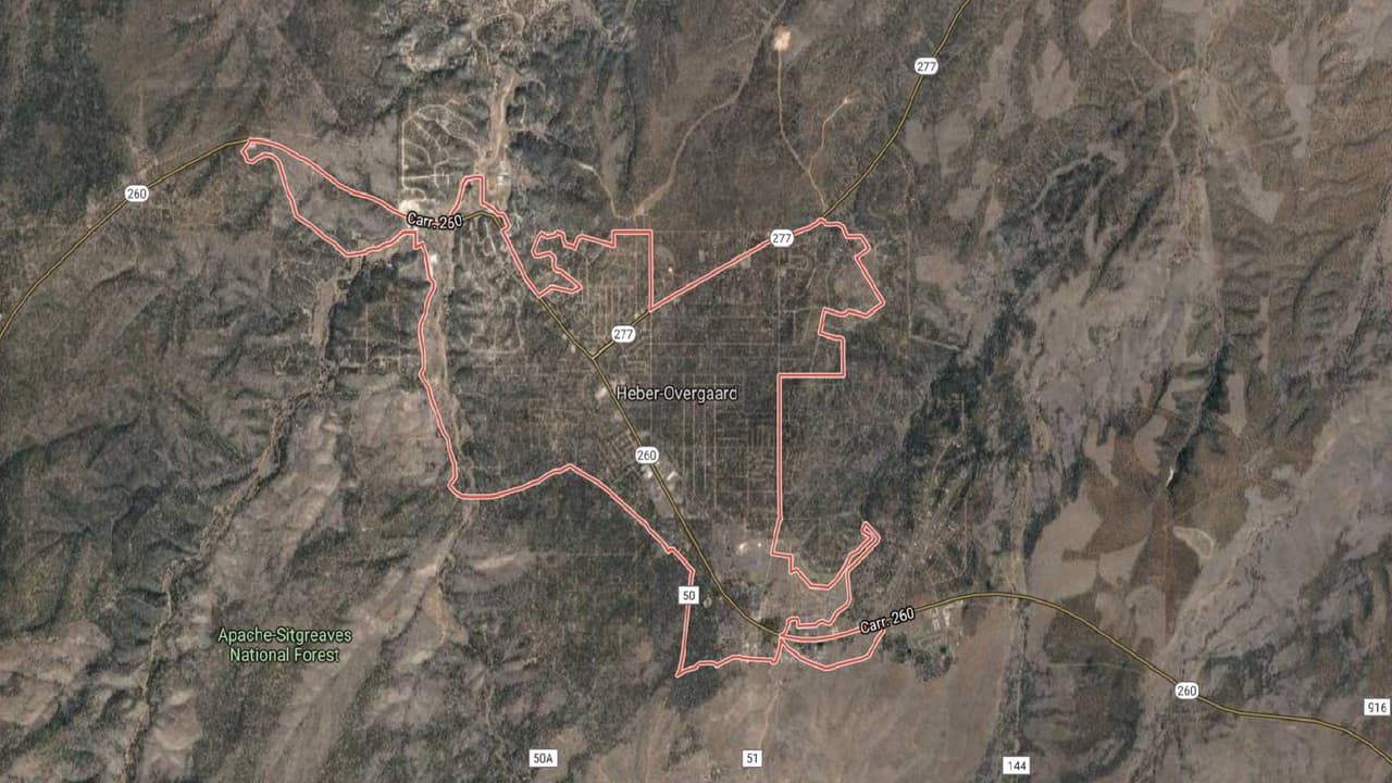 Hallan muertos con heridas de bala a ocho caballos en Arizona