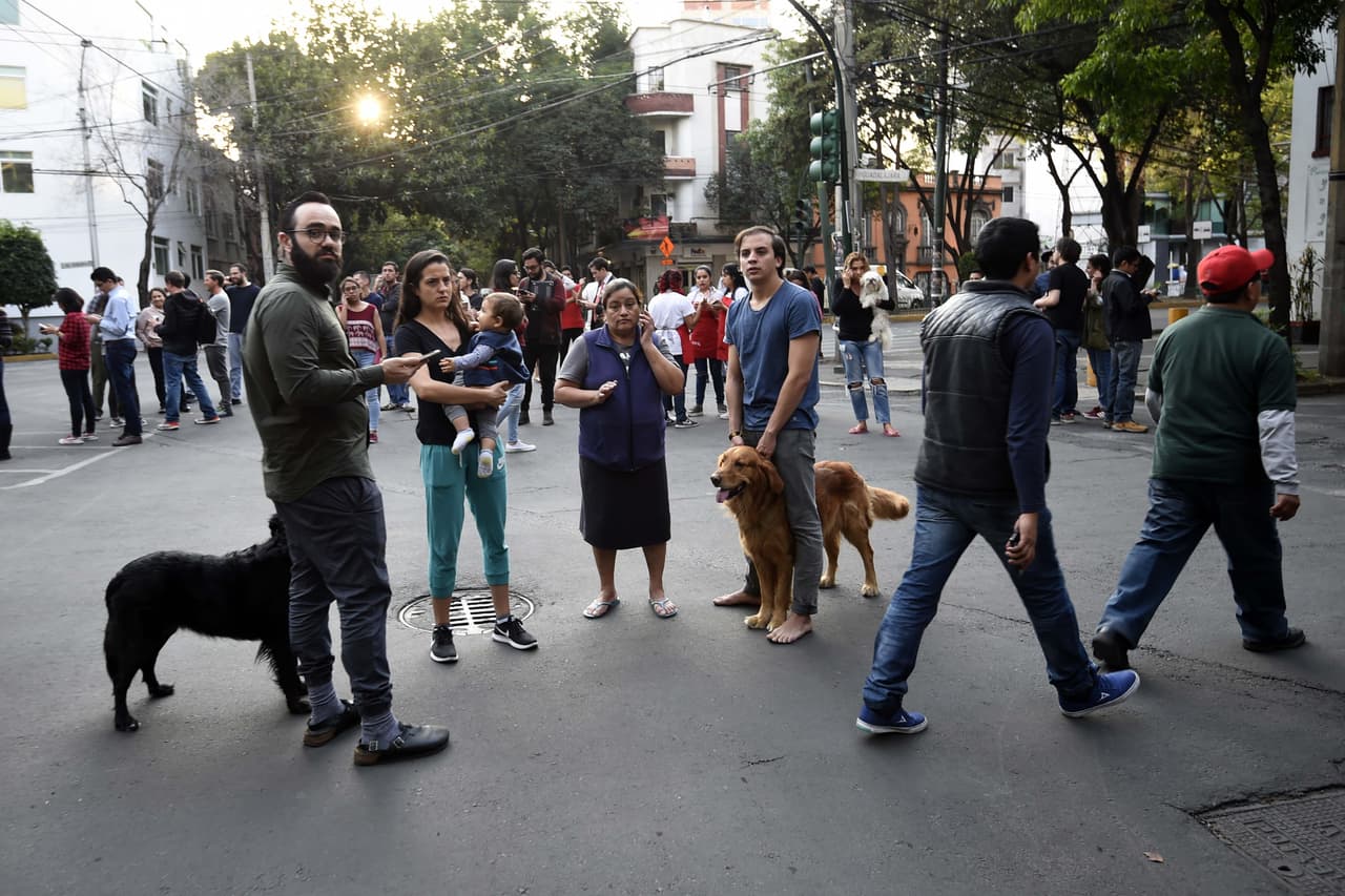 People and their dogs remain on a street at Roma neiborhood during a powerful earthquake in Mexico City on February 16, 2018. Mexico's National Seismological Service put the magnitude of the quake at 7.0, and seismic monitor network Sky Alert said the quake was felt across the states of Guerrero, Oaxaca and Puebla. / AFP PHOTO / ALFREDO ESTRELLA (Photo credit should read ALFREDO ESTRELLA/AFP/Getty Images)