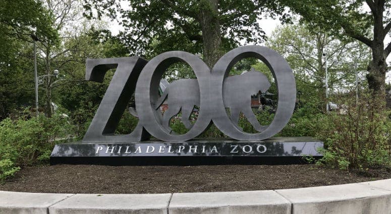 El trabajo no se detiene en el zoológico de Filadelfia a pesar del cierre de la ciudad por el coronavirus 