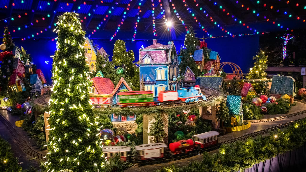 Disfruta del mágico espectáculo de luces navideñas en el Zoológico de Houston