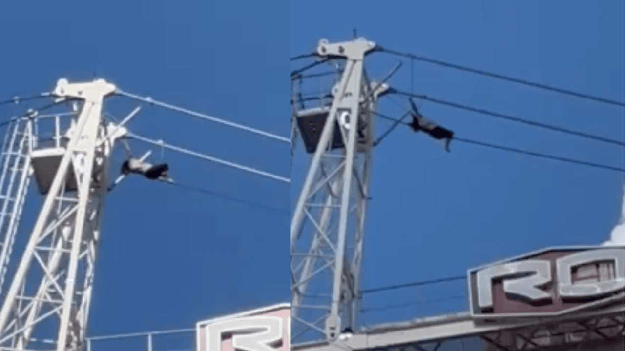 Una mujer cae 20 pies desde una grúa elevada luego de negociación con la policía