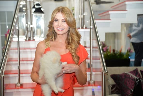 "Voltea Pa' Que Te Enamores" comenzó las grabaciones con el tradicional claquetazo. Esta nueva telenovela contará con las actuaciones de Pedro Moreno, María Elena Dávila, Cristina Bernal, Frances Ondiviela, Cecilia Gabriel, Harry Geithner, Fernando Carrera, Roberto Matheus, Victor Cámara, Lupita Ferrer, Eduardo Serrano, William Valdez, Nastasha Dominguez, Maite Embil, Adrian Di Monti, Mariet Rodriguez, Mijail Mulkay, Ariel López Padilla, Mauricio Mejías, y Alfredo Huereca.