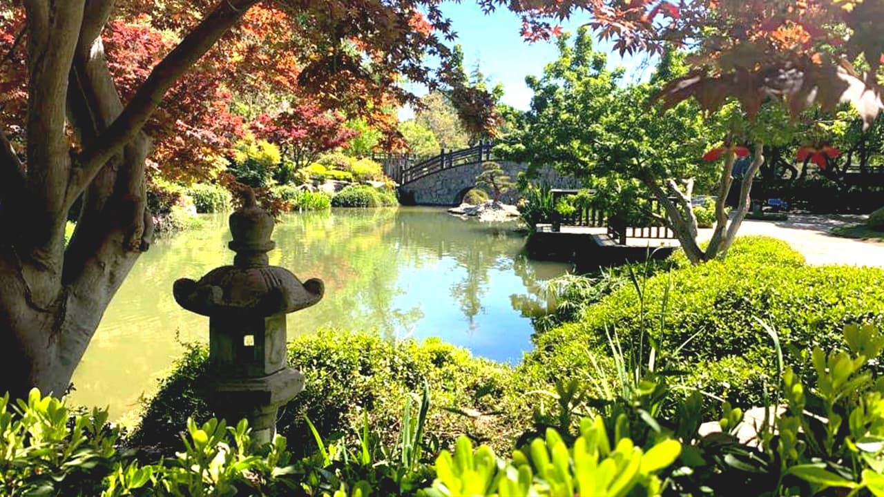 Con vistas espectaculares el Jardin es el perfecto lugar para tomar fotos con la familia, amigos o esa persona especial. Se trata de una tradición diseño japonés de cinco acres que contiene plantas, flores, rocas y piedras.
<br>