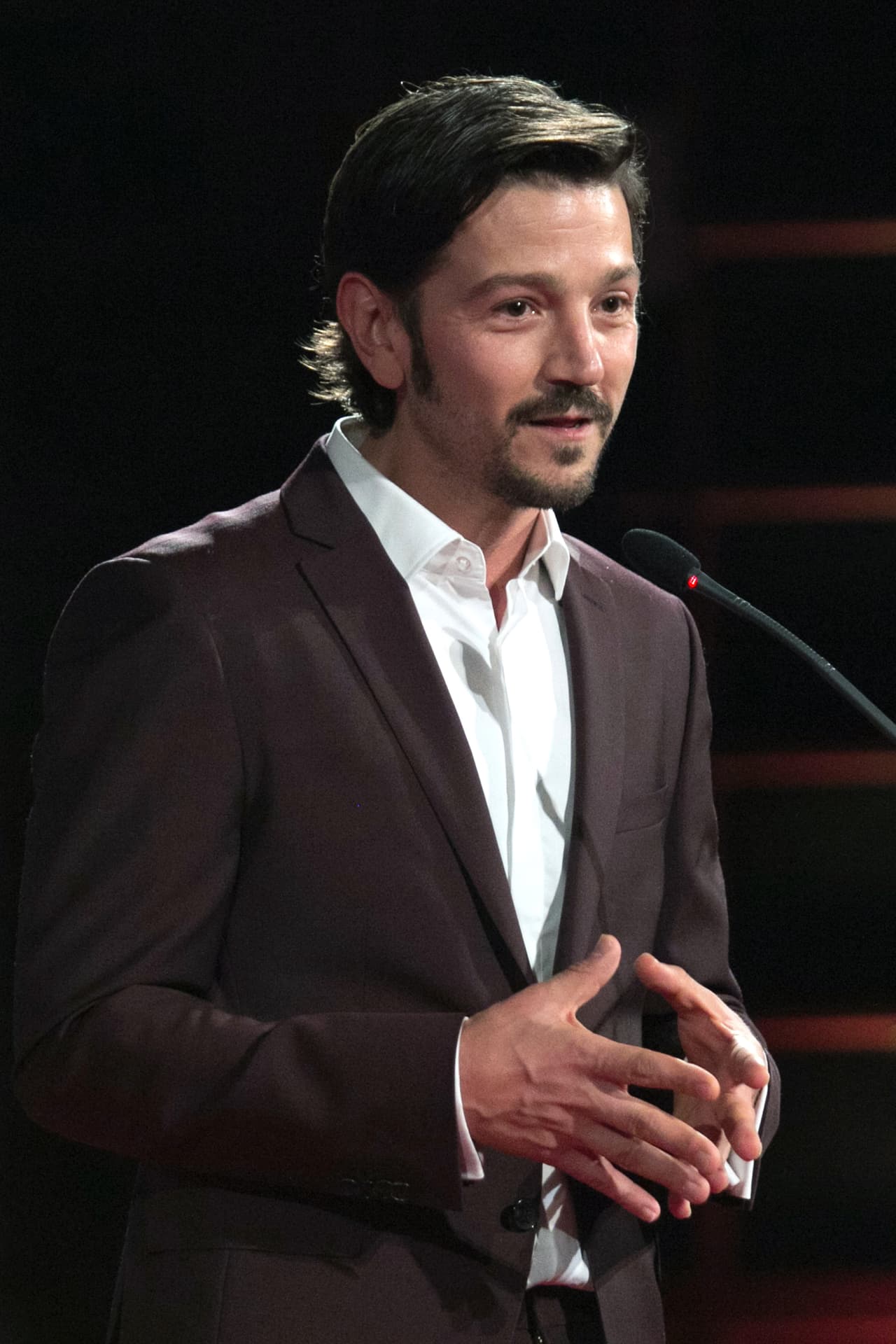 Diego también apareció en 'El amor de mi vida' (1998) y 'La vida en el espejo' (1999), pero al igual que Gael, prefirió trabajar en el cine donde también ha hecho una productiva carrera.