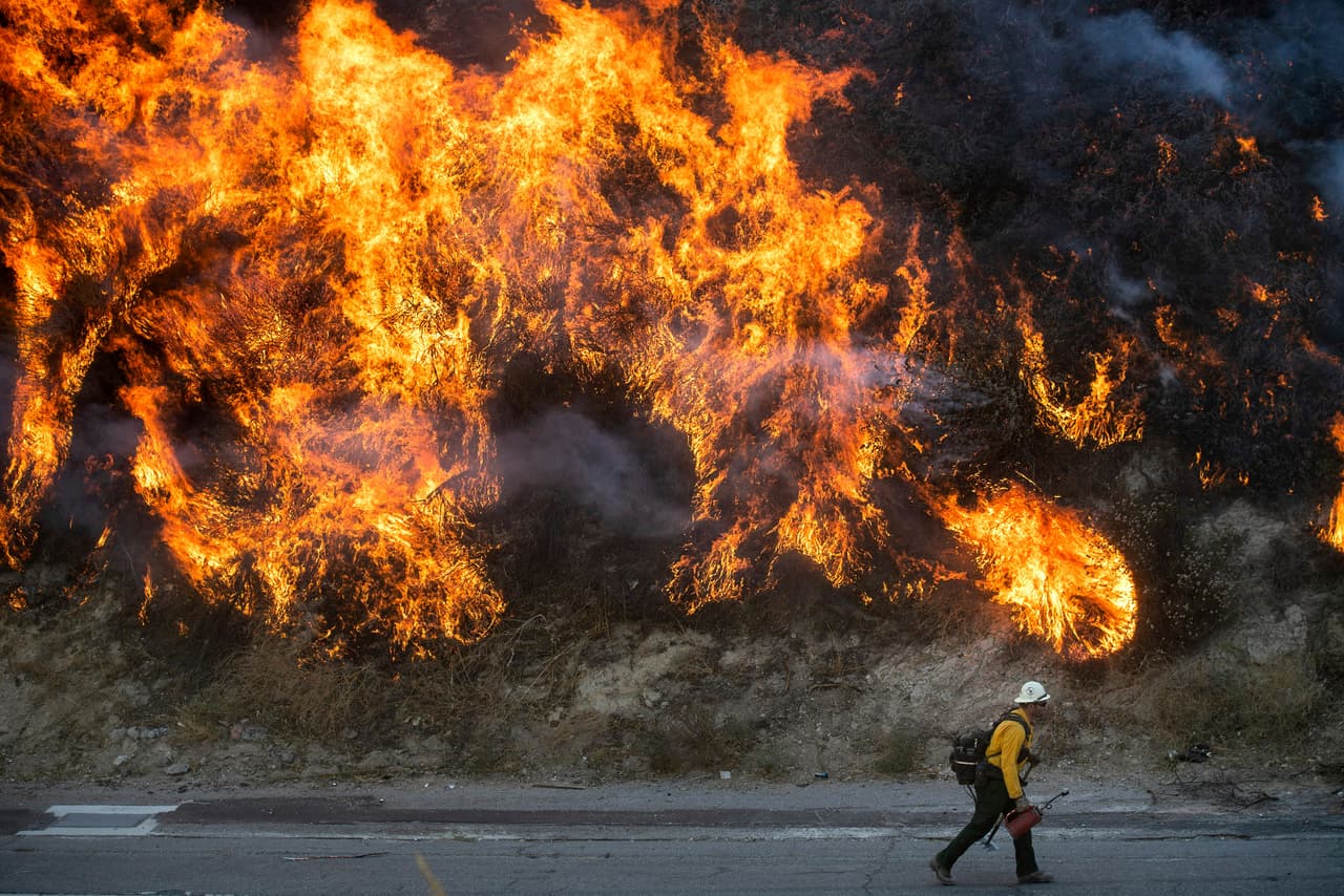 Las llamas han ameritado el trabajo forzado de miles de efectivos de los Departamento de Bomberos de varios condados.