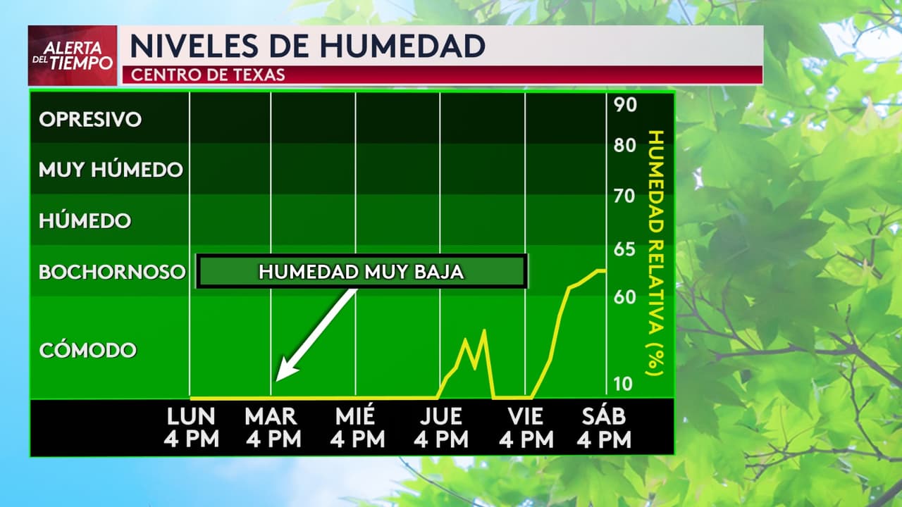Esta vigilancia es
<b>una llamada de atención para actuar con precaución y prevenir incidentes que podrían poner en riesgo vidas y propiedades.</b>