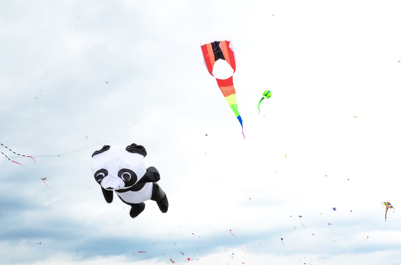 La entrada al festival es libre de costo.