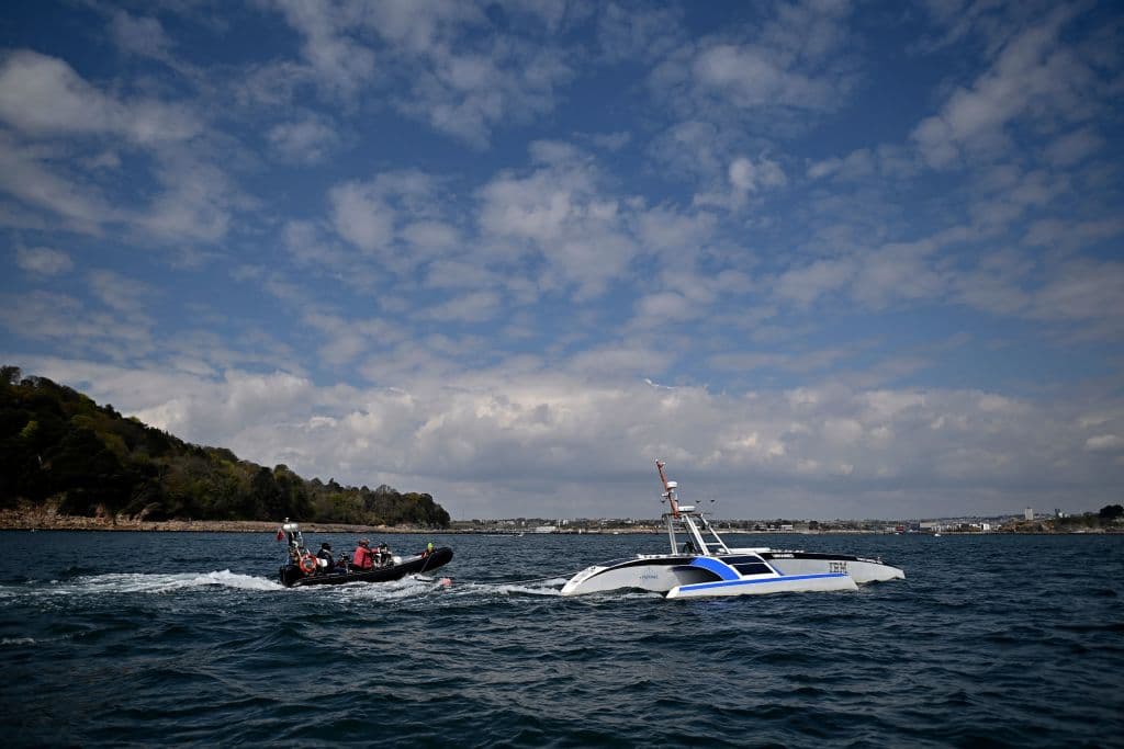 <b>Las ballenas. </b>El algoritmo fue entrenado con miles de horas de audios de diferentes partes del mundo para detectar mamíferos marinos, reconocerlos y ofrecer información sobre la distribución de sus poblaciones.