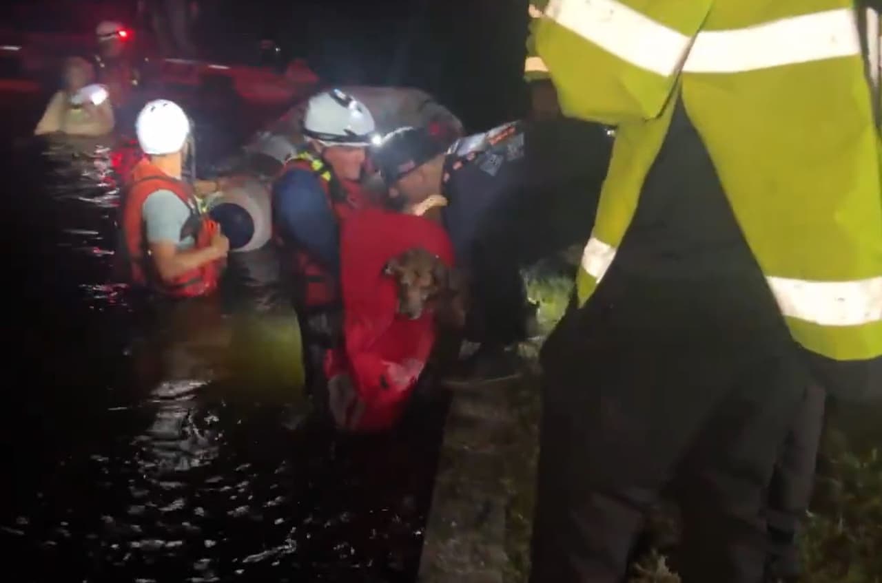 Personas deben
<b>procurar ponerse a salvo junto con sus mascotas</b>, antes de que un fenómeno como este los sorprenda.
