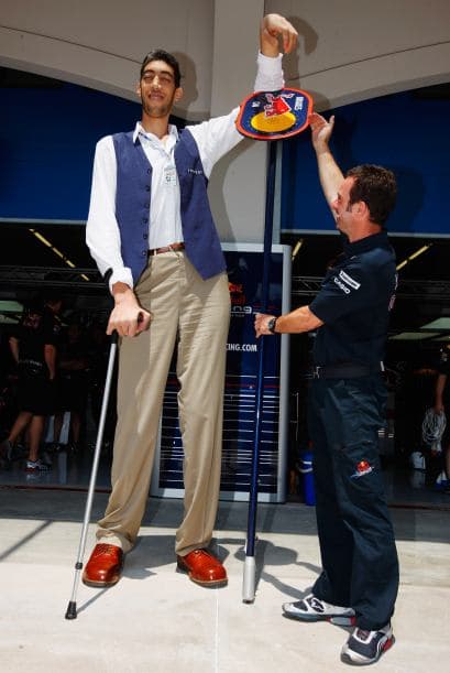 El 18 noviembre, se conmemora el Día Mundial de los Récords Guinness, efeméride establecida por la propia organización para promover la creación de nuevos récords y marcas por todo el mundo.