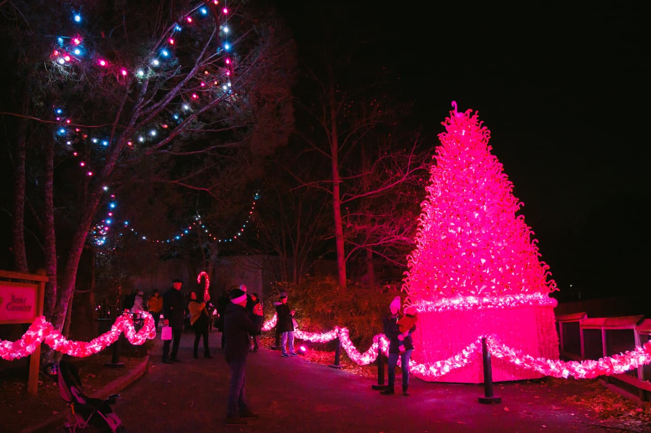 Flamingo Fancy: los invitados se sorprenderán mientras caminan a lo largo de ‘flamencos’ rosados de 8 pies brillantemente iluminados cuando se encuentran con el árbol más caprichoso dentro de LumiNature: ¡una belleza de 25 pies hecha completamente de adornos de césped de flamencos iluminados!