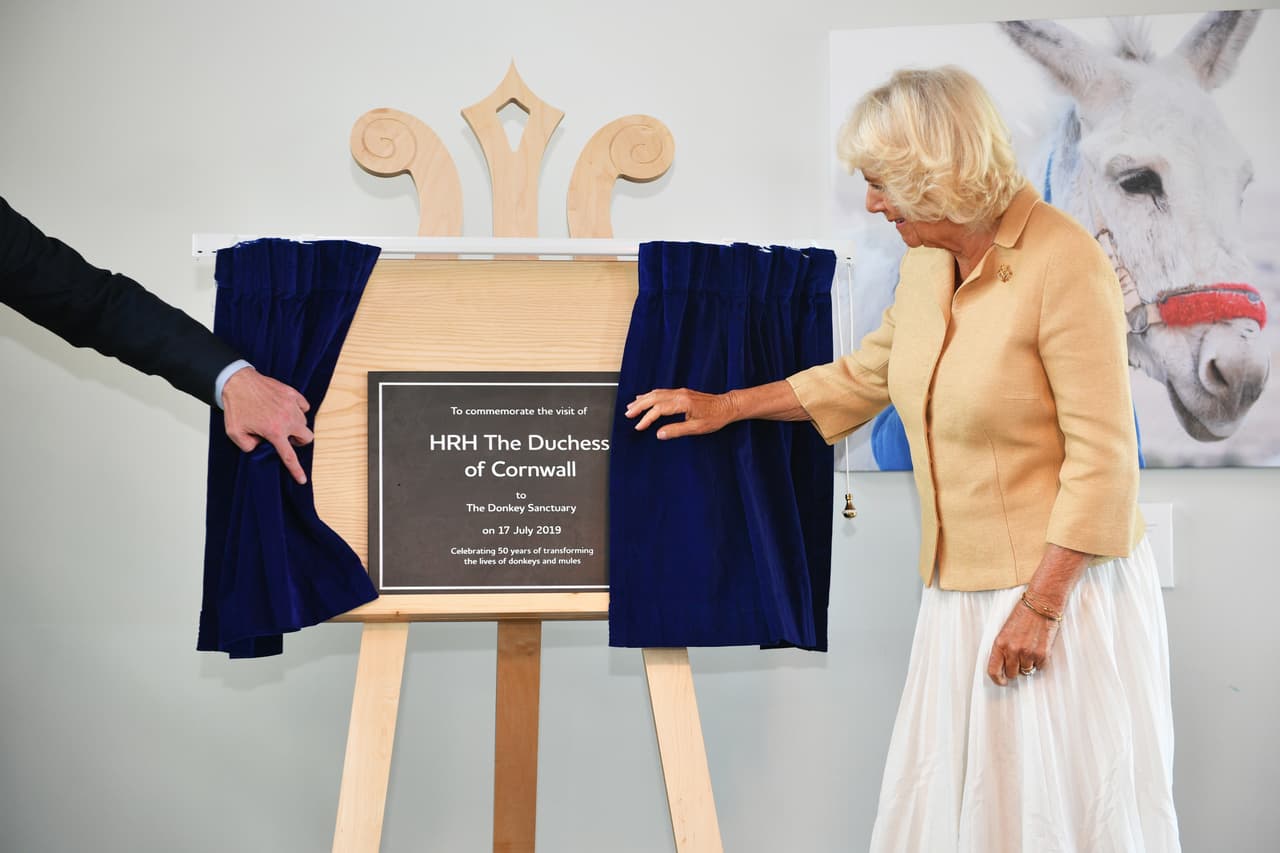 La visita de Camilla Parker quedó inmortalizada con esta placa, que lee: "Para conmemorar la visita su alteza real la duquesa de Cornualles al 
<b><a href="https://www.thedonkeysanctuary.org.uk/" target="_blank">Santuario del Burro</a></b>. 17 de julio de 2019. Celebrando 50 años de transformar las vidas de burros y mulas".