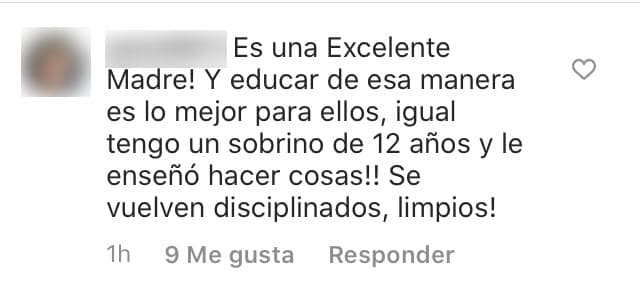Las fotos volvieron a provocar reacciones positivas en sus seguidores. Algunos le dijeron que era una "excelente madre" y que enseñarlos esas labores hacía a los hijos "disciplinados" y "limpios". 
<br>