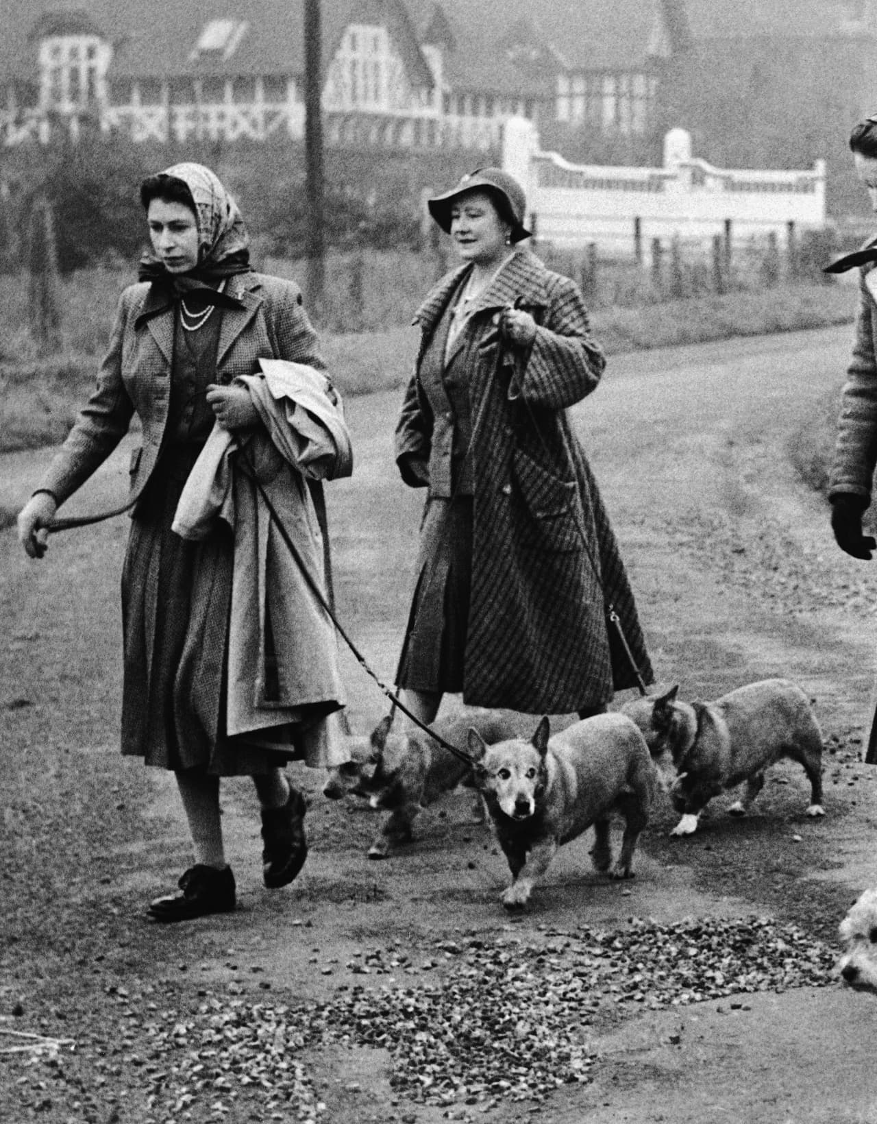 La reina Isabel II y la Reina Madre pasean a sus corgis en Sandringham el 19 de noviembre de 1956. De acuerdo con Lacey, estos perros eran "Los mejores amigos de la reina". 
<br>
<br>Una publicación satírica publicó una nota diciendo que los perros serían enterrados vivos junto a la monarca, y pese a que se trataba de una broma, 
<a href="https://www.univision.com/noticias/falso-perros-isabel-enterrados-vivos">muchos lectores nos preguntaron a elDetector de Univision Noticias si era cierto.</a> Acá te explicamos qué es lo que pasó.