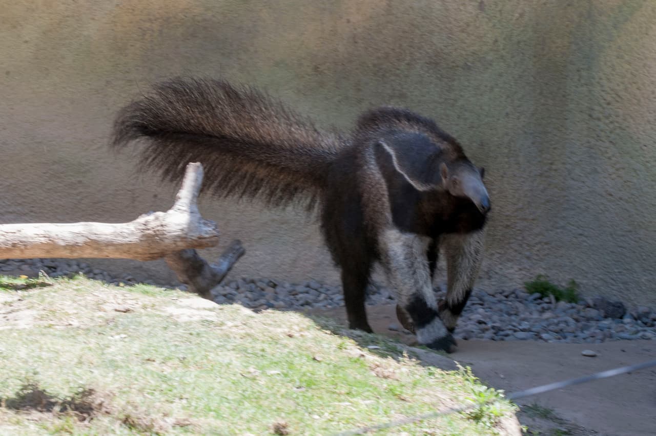 Un bello dia fue perfecto para las familias desde Bakersfield a Modesto.