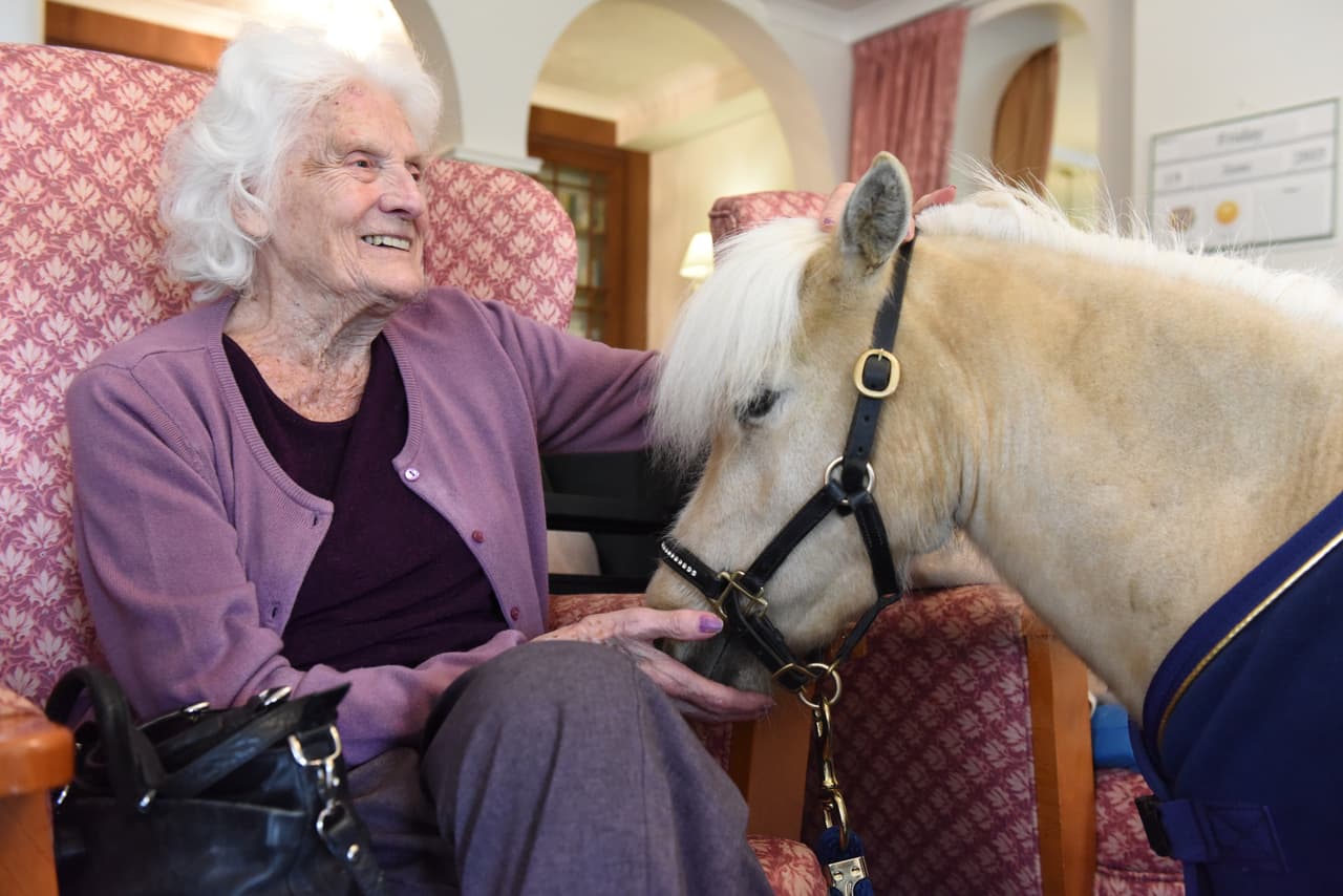 ¿Y para qué lo hacen? ¡Sólo para ver a la gente sonreír!