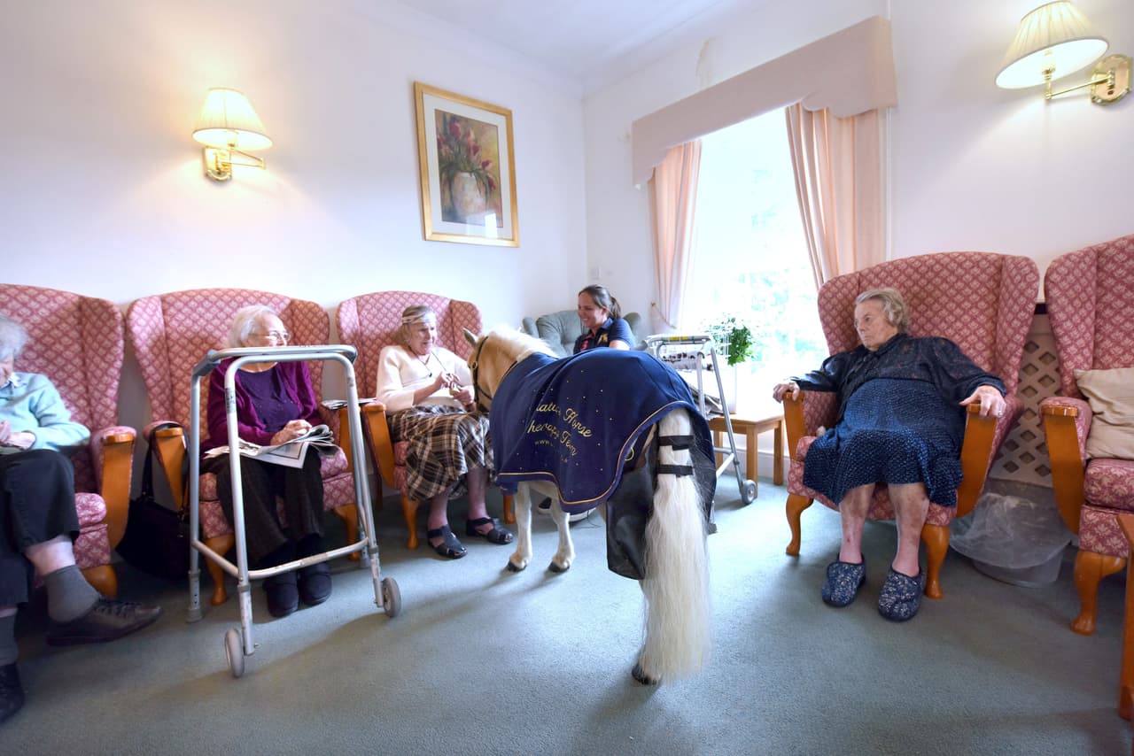 Pero su idea era diferente: ella quería que los ponis jugaran con niños en sus fiestas.