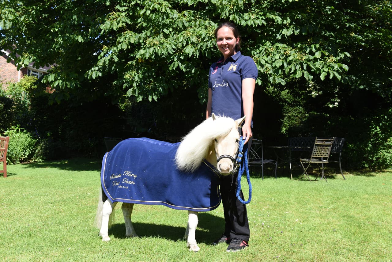 ¡Una risa arrancó a cada uno!