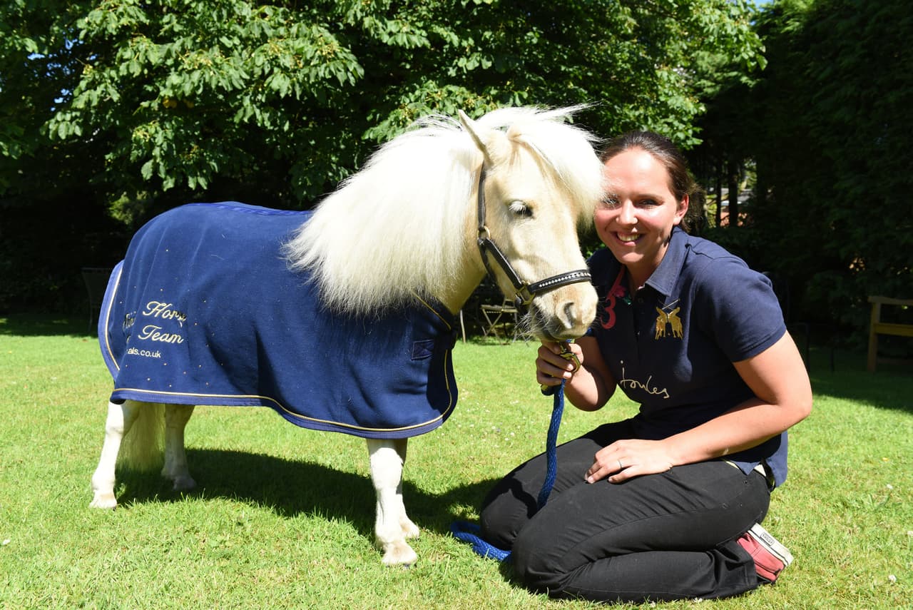 Mr. Cheddar trotaba entre los pasillos y miraba a los tiernos residentes y sus familiares.