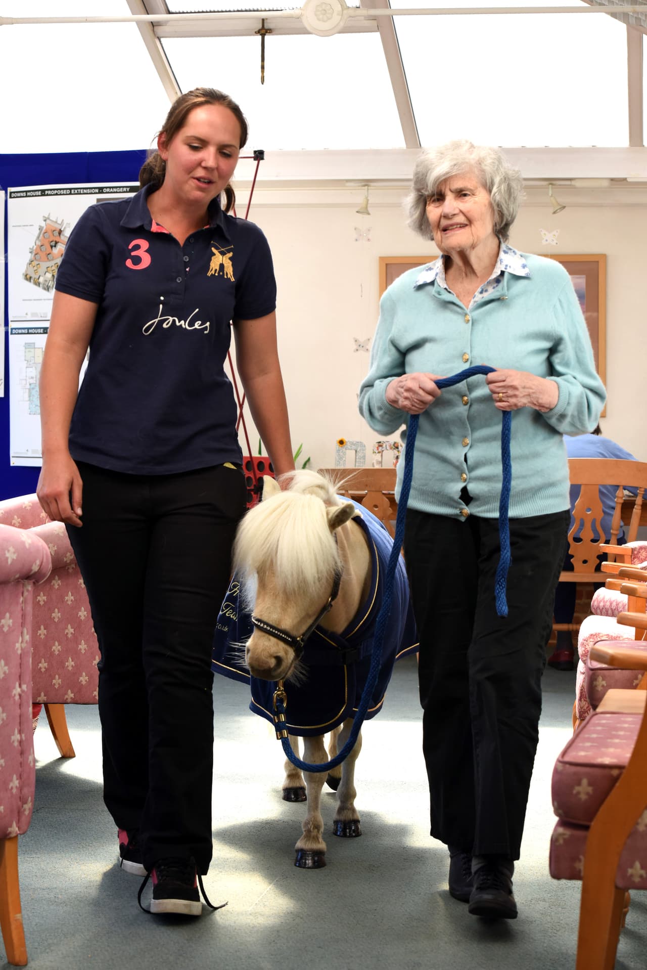 Quienes viven en Downs House en Petersfield, Hampshire estaban encantados ante la visita sorpresa.