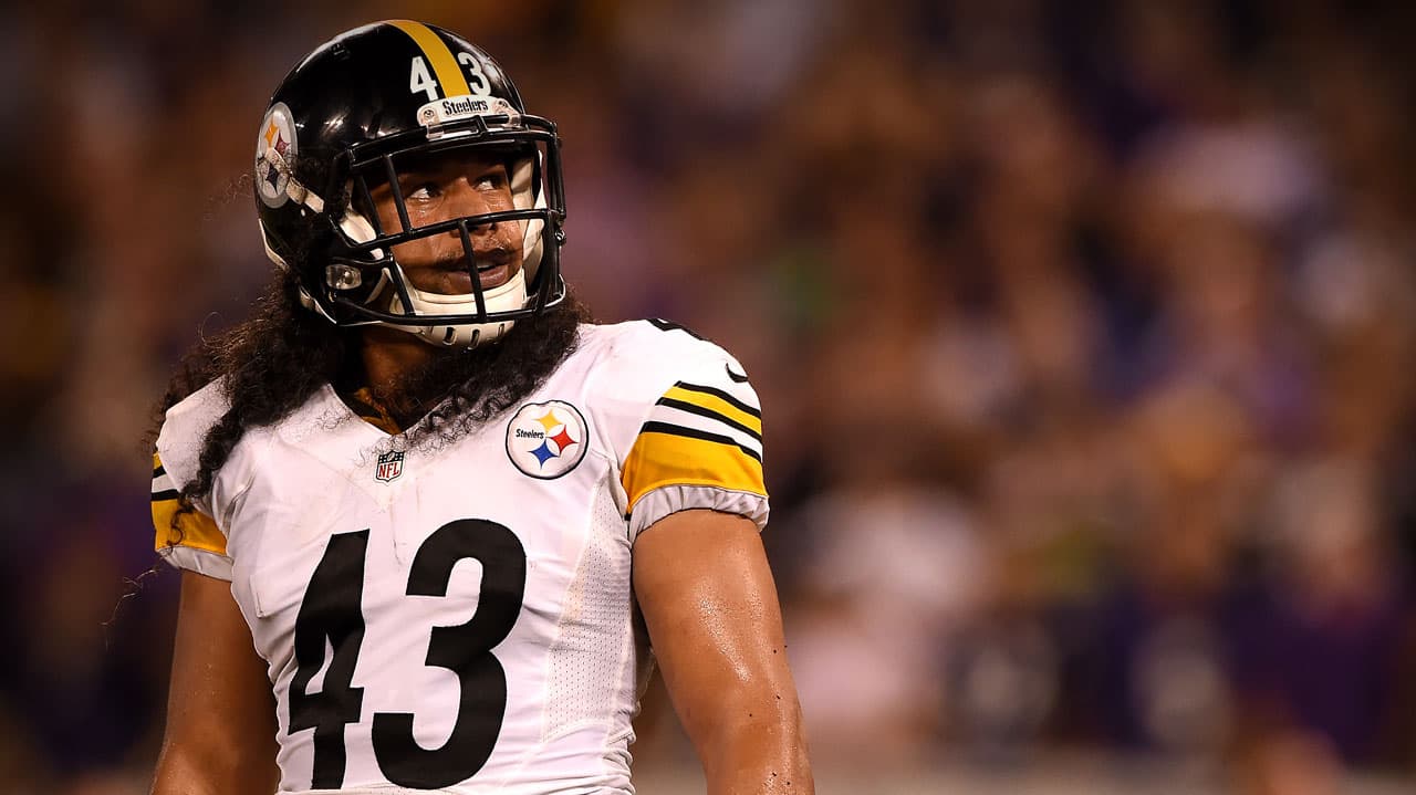 Polamalu y Wayne en la lista de candidatos al Salón de la Fama