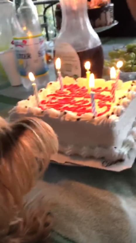El esposo de Gelena y Chanel tuvieron su pastel, el cual disfrutaron después de soplar las velas.