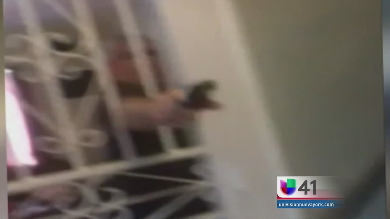 Discusión entre vecinos por gatos callejeros termina a balazos en Florida