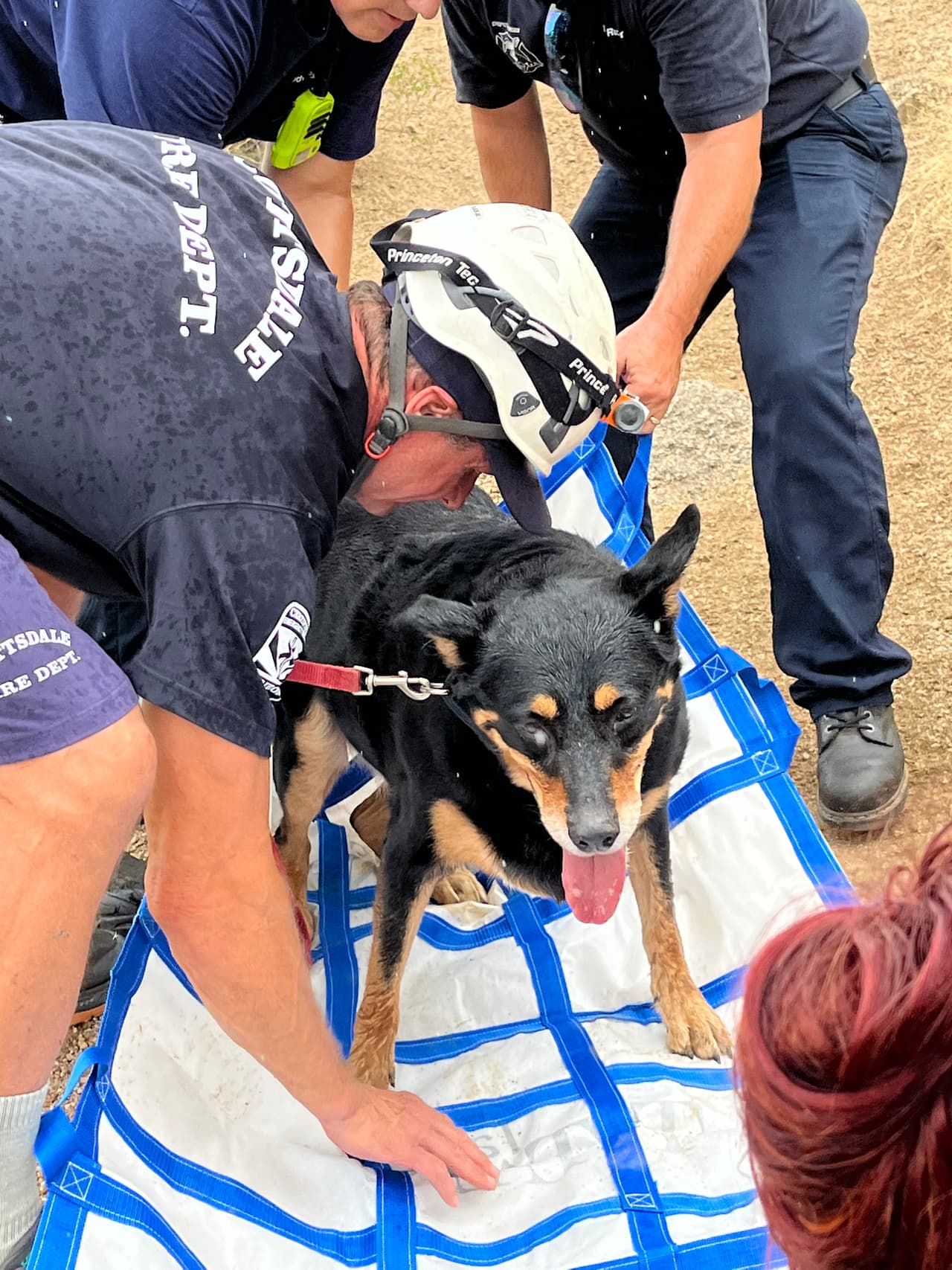 Cinco botellas de agua después, “Diego” estuvo mucho mejor, e incluso pudo subir por sí mismo al auto en que lo llevaron a casa.
