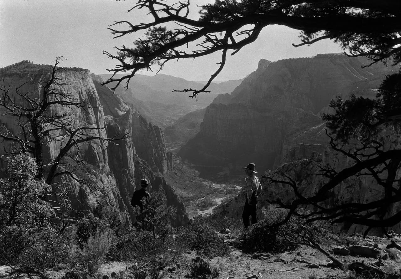 La vista desde entre los árboles del Cañón Zion desde el este del punto observatorio en el Parque Nacional Zion en 1929.
