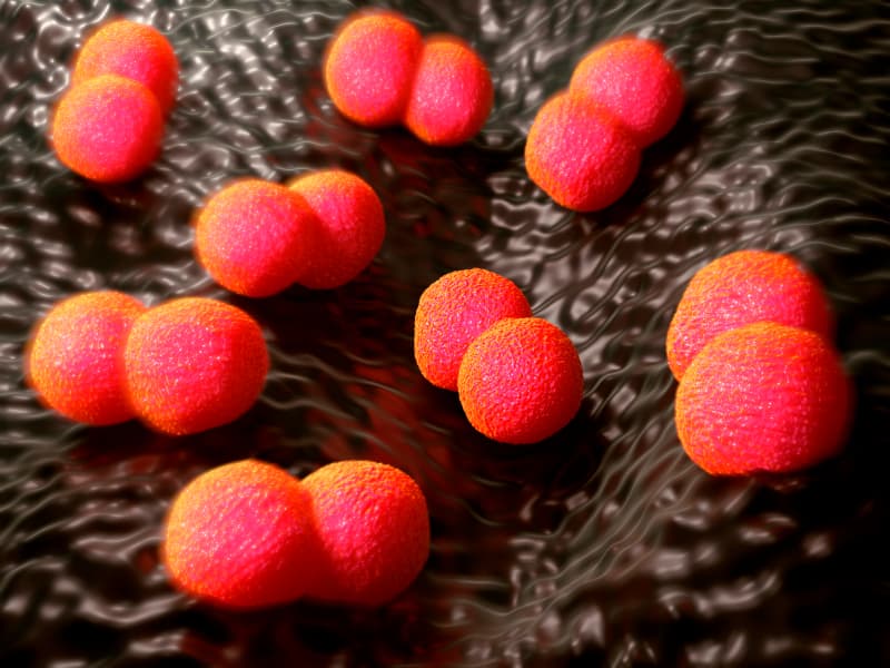 Florida vive un brote de enfermedad meningocócica, ¿qué tan peligroso es este mal y cómo puedes protegerte?