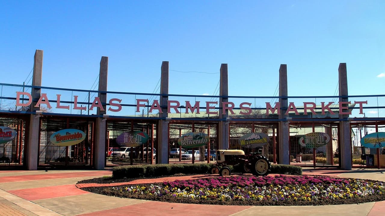 <h3 class="cms-H3-H3"></h3>
<h3 class="cms-H3-H3"><a href="https://dallasfarmersmarket.org/" target="_blank">Dallas Farmers Market</a></h3>: comida local y regalos con corazón 
<br>Para los papás foodies o los que siempre andan buscando una salsa especial o un corte distinto, este mercado es una joya. Los puestos ofrecen de todo: tacos, barbacoa, pan artesanal, café, productos frescos y hasta botellas personalizadas. 🍉 Puedes desayunar, comprarle un regalito hecho a mano o simplemente caminar juntos por los pasillos mientras platican. 
<br>
<a href="https://g.co/kgs/KyScjNs" target="_blank">📍 920 S Harwood St, Dallas</a>
<br>🕒 Domingo de 10 a.m. a 5 p.m.
<br>🎟 Entrada gratis