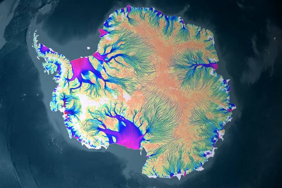 Los principales glaciares de la Antártida tienen signos ‘extremos’ de deshielo 