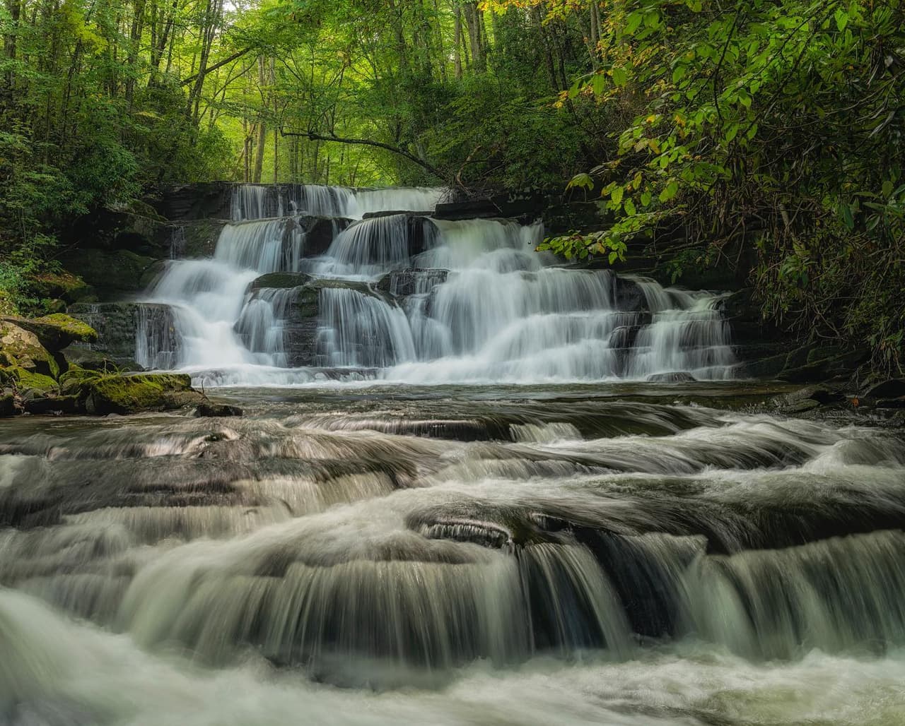Encuentra más destinos e información local, 
<b><a href="https://www.univision.com/local/north-carolina-wuvc/localisimo">aquí</a></b>.