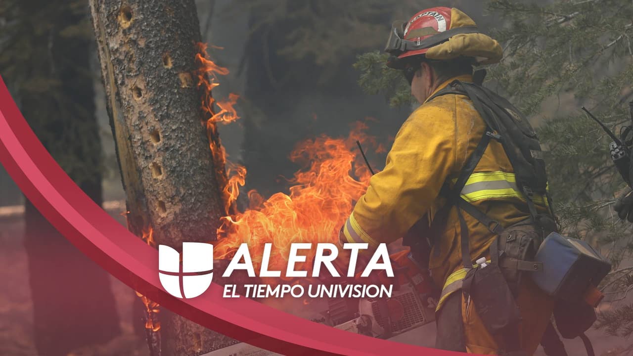 Aviso de bandera roja: hay riesgo de incendios por condiciones del tiempo 