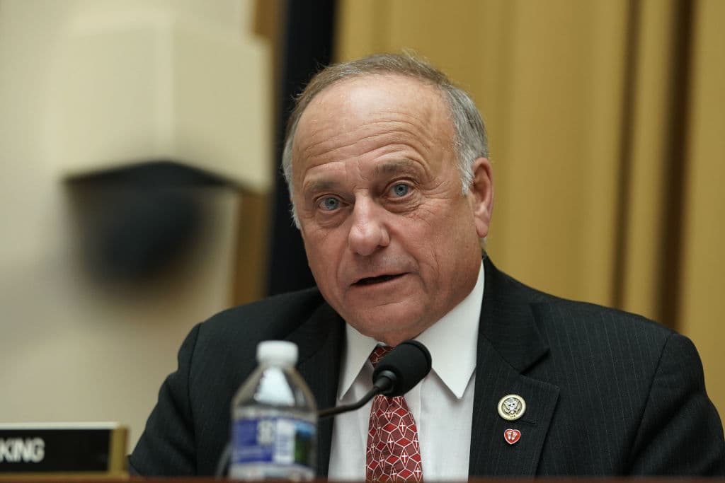 El Representante republicano Steve King por Iowa habla durante una audiencia del Comité Judicial de la Cámara de Representantes el 11 de diciembre de 2018 en Washington, DC.