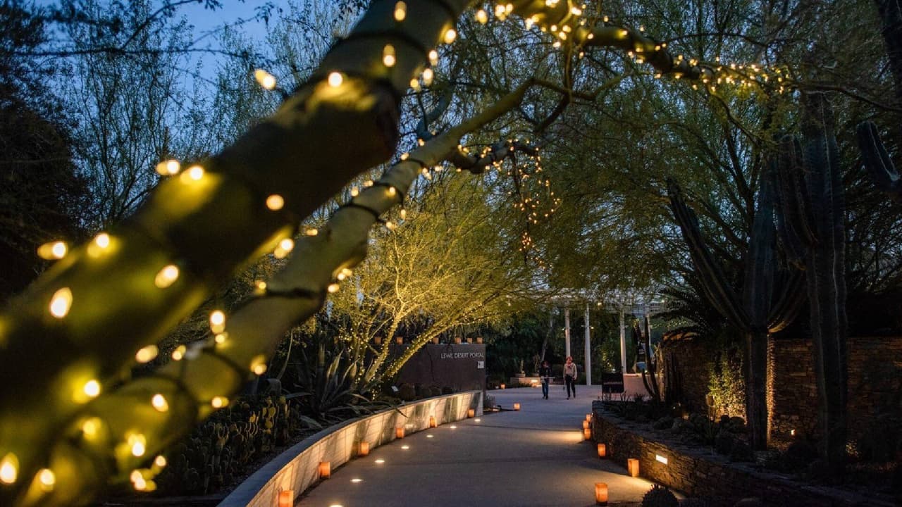 <b>La Noche de las Luminarias</b>
<br>Cuándo: 24 de noviembre al 30 de diciembre
<br>Dónde: Desert Botanical Garden, 1201 N. Galvin Parkway, Phoenix
<br>Costo: A partir de $16.95
<br>
<a href="https://dbg.org/events/las-noches-de-las-luminarias-3/2023-11-24/" target="_blank">Más detalles en este enlace.</a>