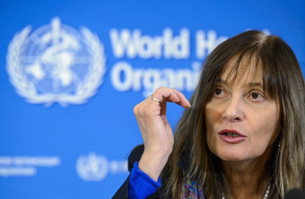 La OMS estima que de cuatro a ocho semanas sabrá si el zika causa microcefalia