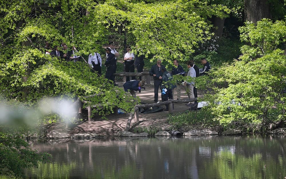 Por su parte, el segundo cadáver, descubierto este miércoles hacia las 7:20 am (hora local) en el Swan Lake (en el este del parque), corresponde a un joven de 36 años, identificado como Anthony Mcafee, según informó 
<i>The New York Post.</i> Llevaba entre una semana o dos en el agua.