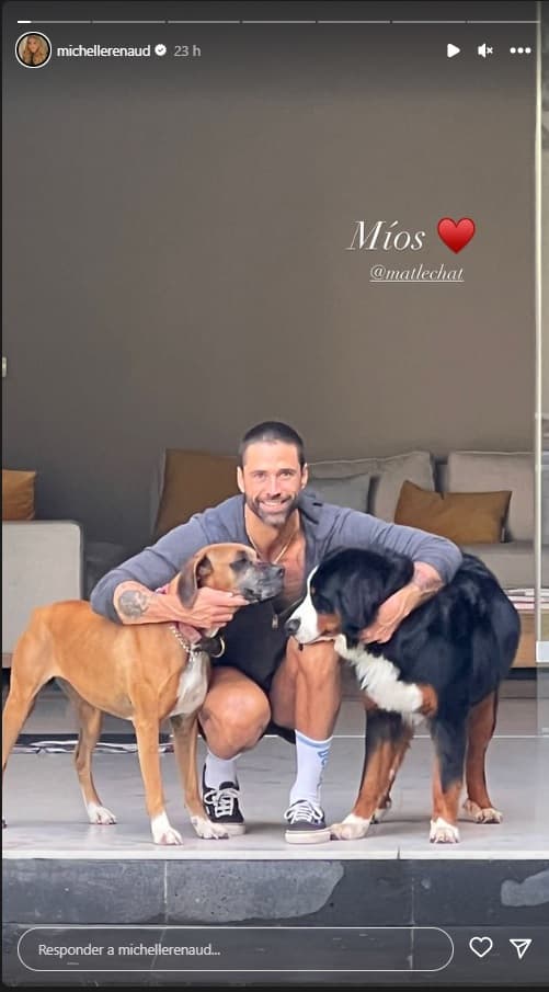 Michelle Renaud ahora convive también con las mascotas de Novoa. El actor tiene en su perfil de Instagram múltiples fotos con sus perros y gatos, mismos que ya forman parte de la vida de 
<b><a href="https://www.univision.com/famosos/danilo-carrera-michelle-renaud-no-queria-hijos-ahora-si">la ex de Danilo Carrera</a></b>.