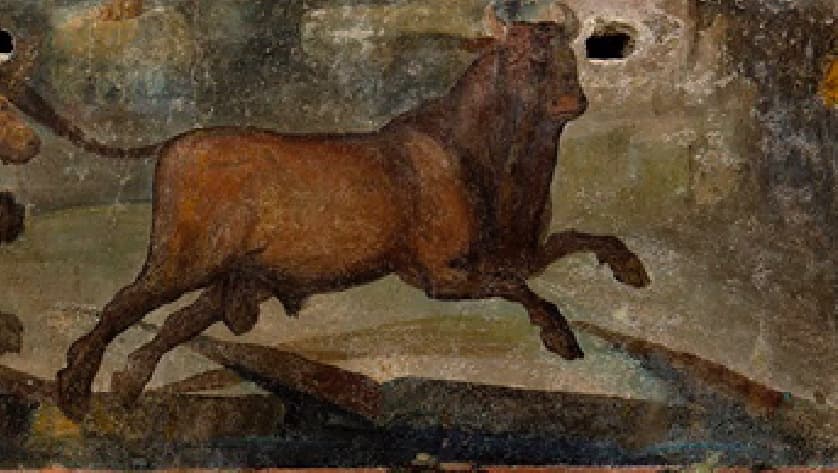 La pintura, de colores cálidos y en la que se pueden diferenciar dos partes, representa escenas de caza y motivos egipcios
<b>"recurrentes en la decoración de los jardines pompeyanos"</b>, dice el sitio arqueológico, pues evocaban "una atmósfera idílica". En la imagen a detalle, la figura de un toro que escapa de una leona.