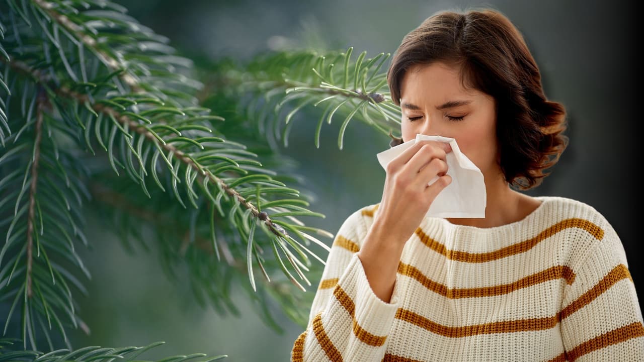 ¿Estornudos, nariz tapada y ojos llorosos? Qué es y cómo aliviar la Fiebre del Cedro en Texas