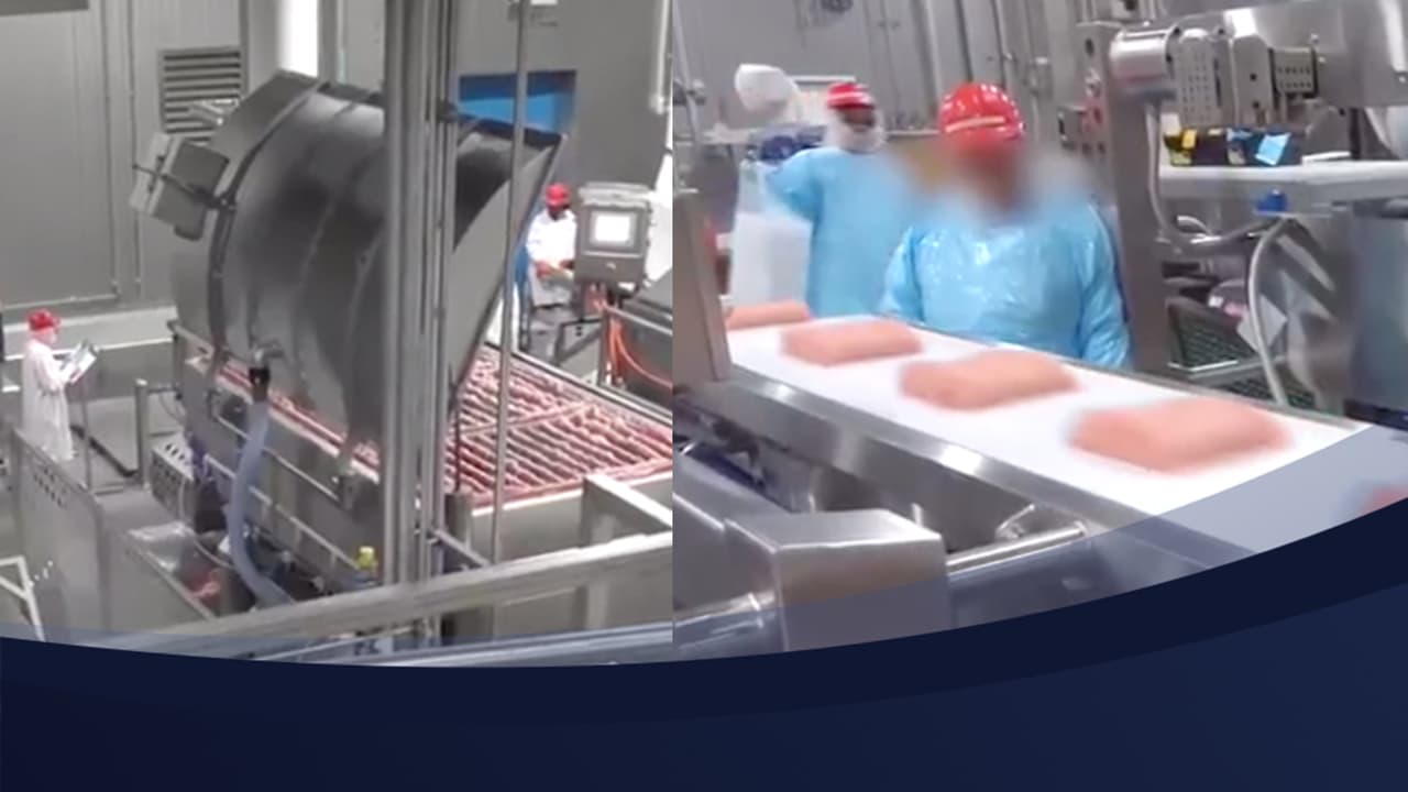 Confirman brotes de coronavirus en cinco plantas procesadoras de alimentos en Carolina del Norte