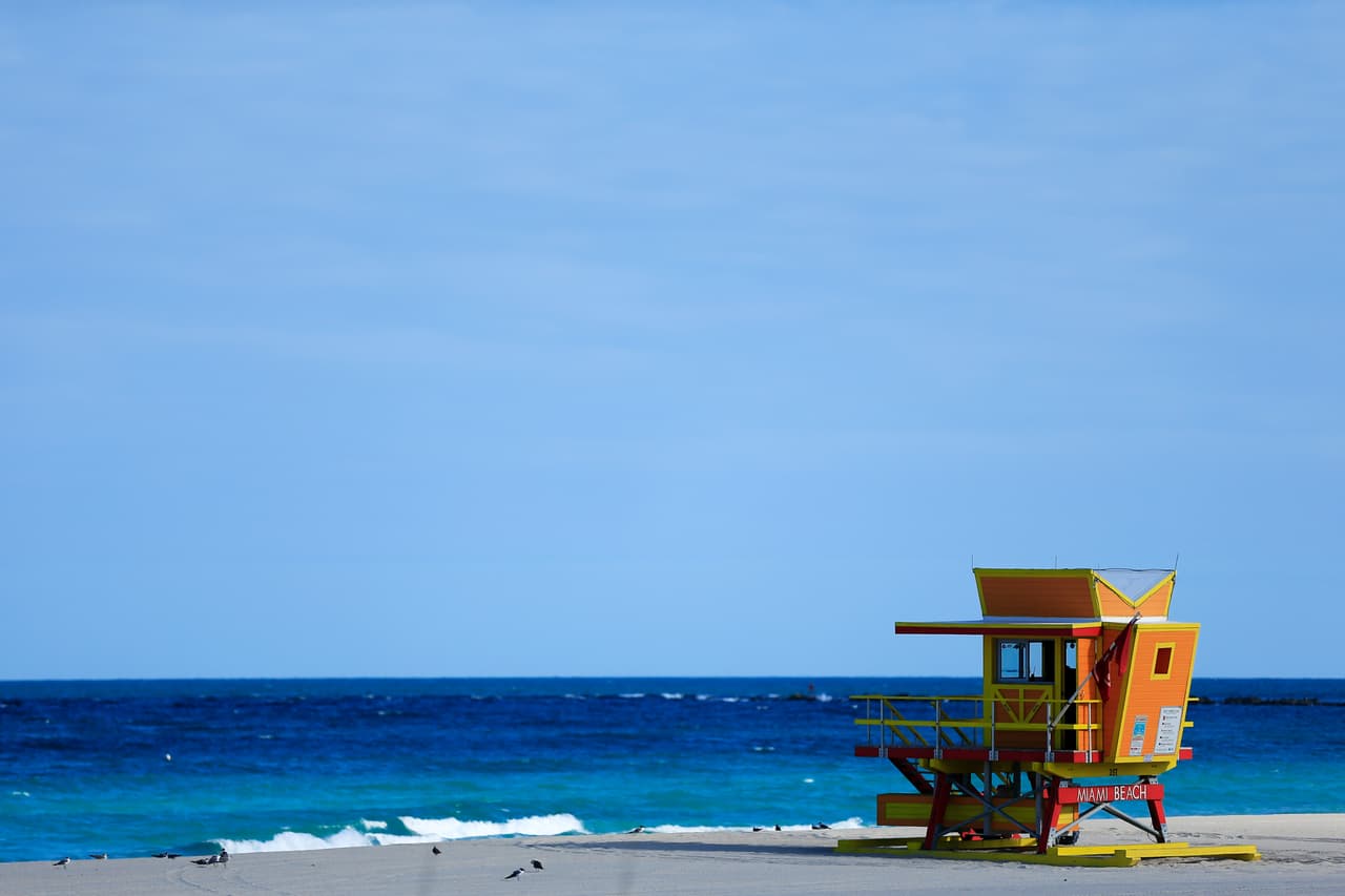 Las banderas en la playa están color púrpura, como advertencia por la presencia de estas medusas. 
<br>